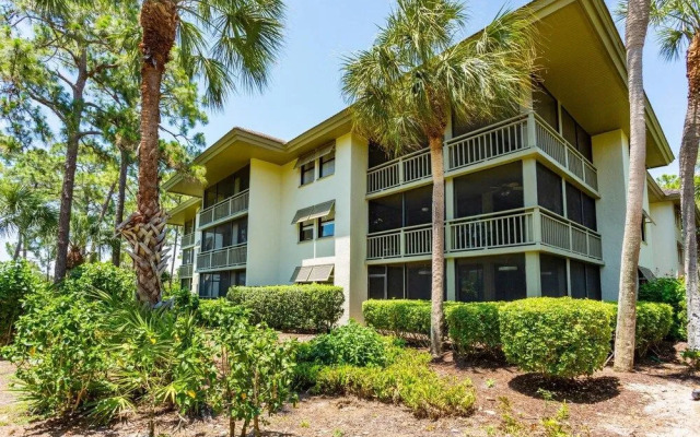 Wild Pines Vacation Rental