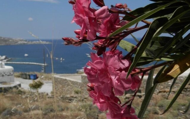 Maroulinas Boutique Apartments & Studios