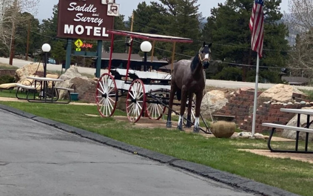 Saddle & Surrey Motel