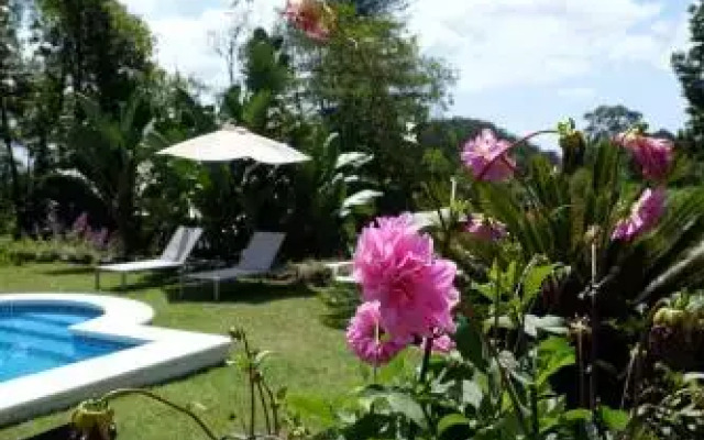 Pink House Sao Miguel Acores