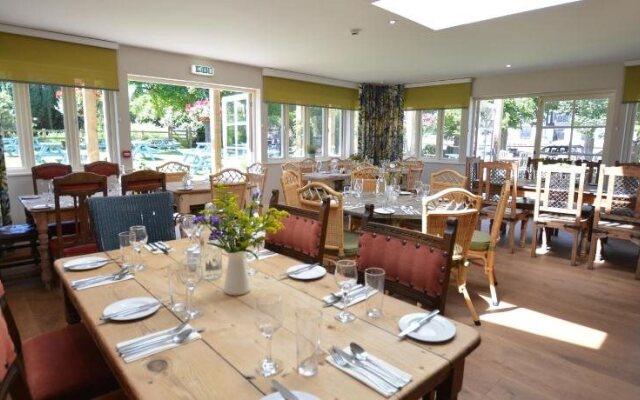 The Dolphin Inn