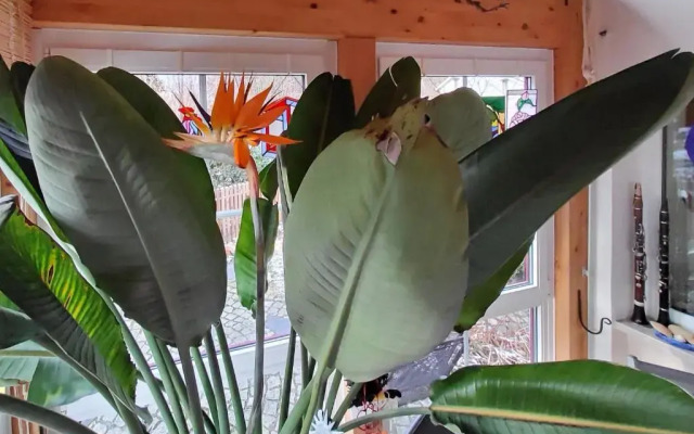 B & B Gästehaus Schmidt