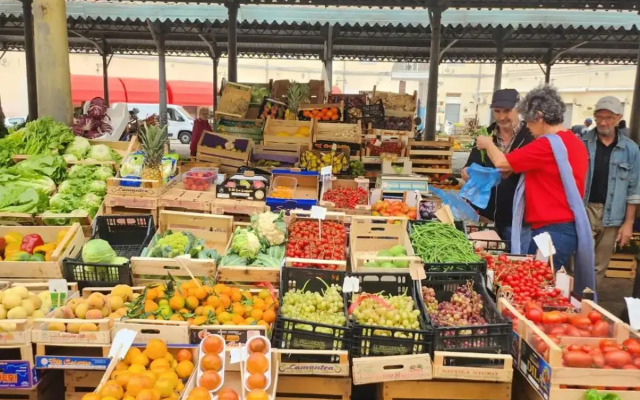 La casa della pecora nera