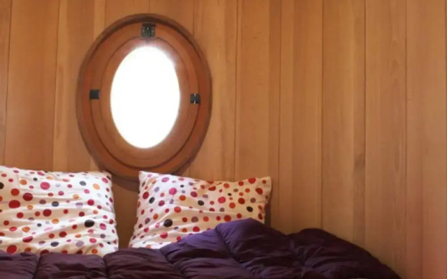 Nids d'hôtes insolites