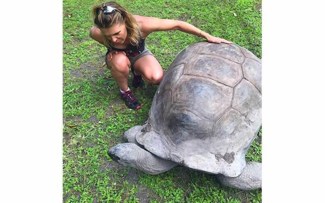La Belle Tortue