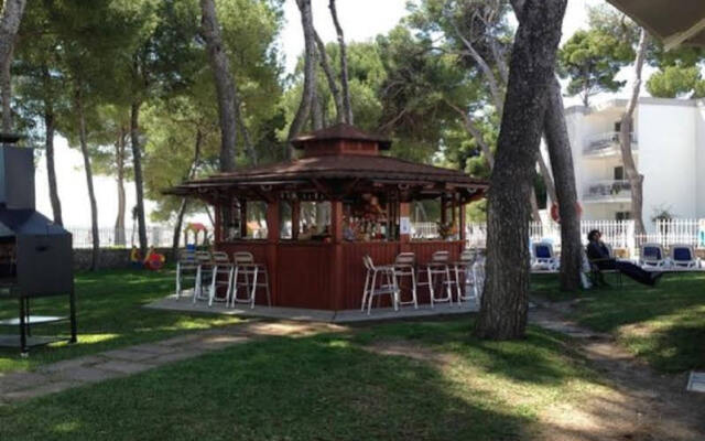 Sofia Alcúdia Beach