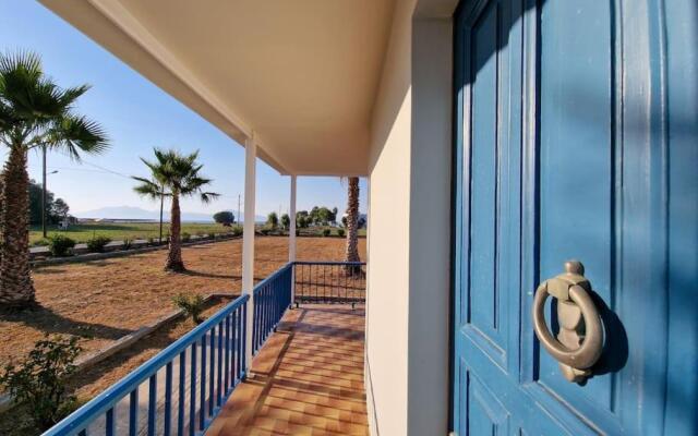 Beachlife: The Bungalow