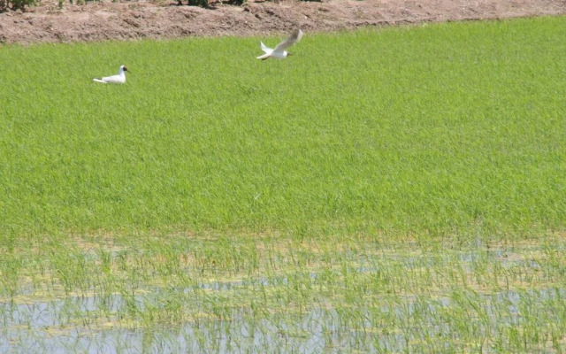 B&B Casa Rural Mas del Rey