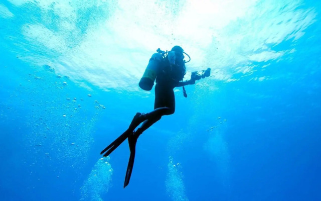 Bavaro Beachfront Penthouse 4 bdr/5 Bth 10+ Guests