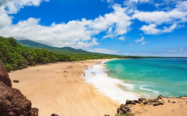Palms At Wailea by Vacation Rental Pros