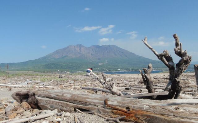 Haenal Pension