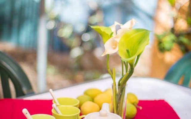 Le Jardin Segurane AP1035