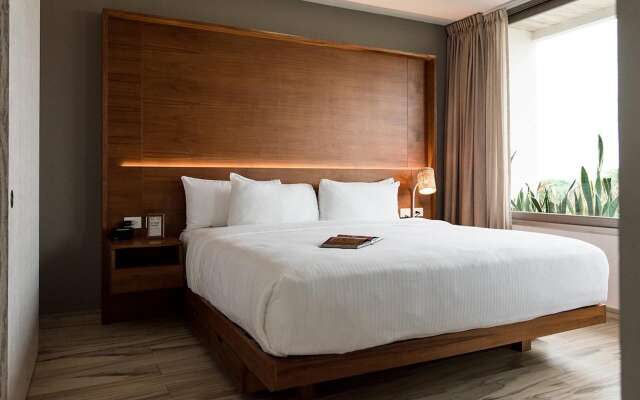 Newport House Playa Boutique Hotel - Beach Club Access