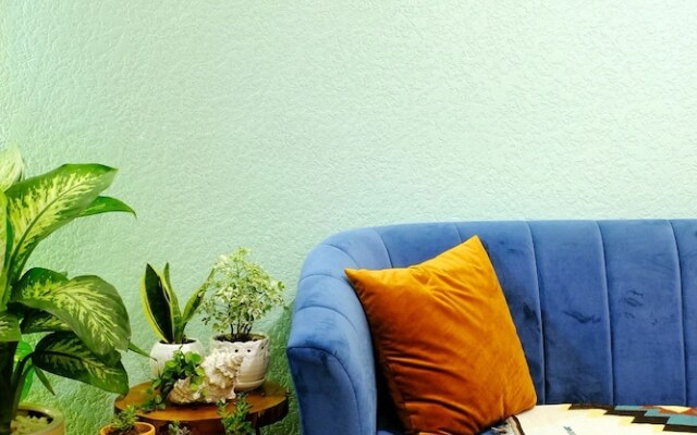 Together House - Hostel