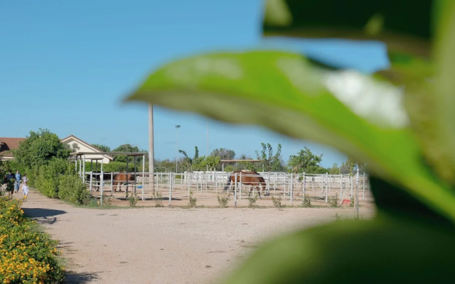 Complesso Turistico Alberghiero Delle Rose