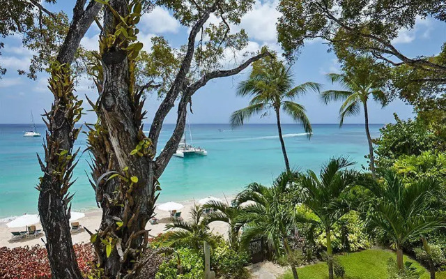 Coral Cove Beachfront Villas