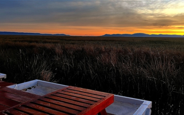 Titicaca Halso Los uros