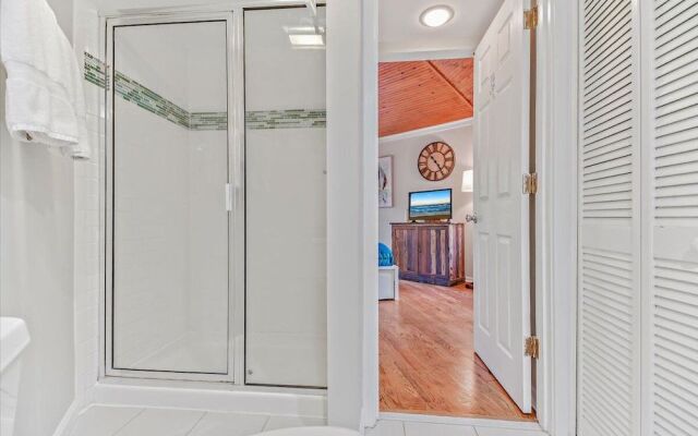 Night Heron Hilton Head Island