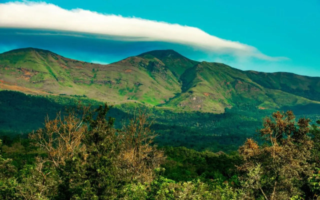 The Blossom Resort Chikmagalur