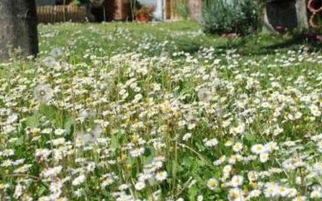 Bed and Breakfast Il Girasole