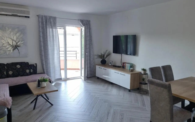Apartments Ledic