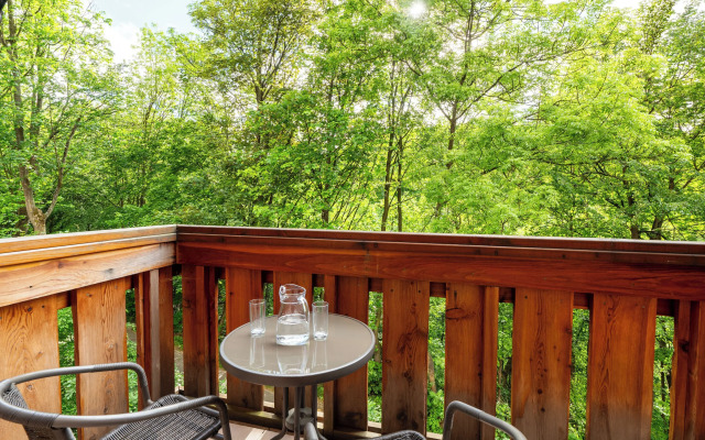 Apartamenty Sun&Snow Lesny Dom