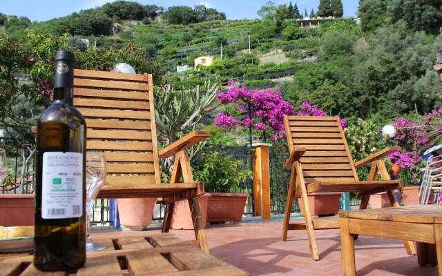 B&B Reginella