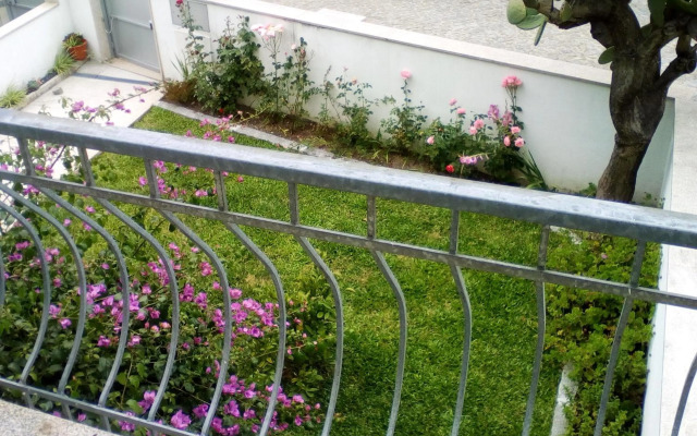 Home Sleep Home Fafe