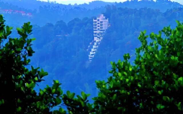 The View Munnar