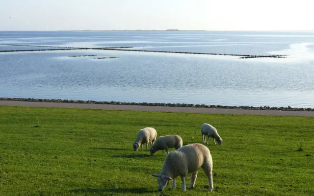 Frisian House by the sea