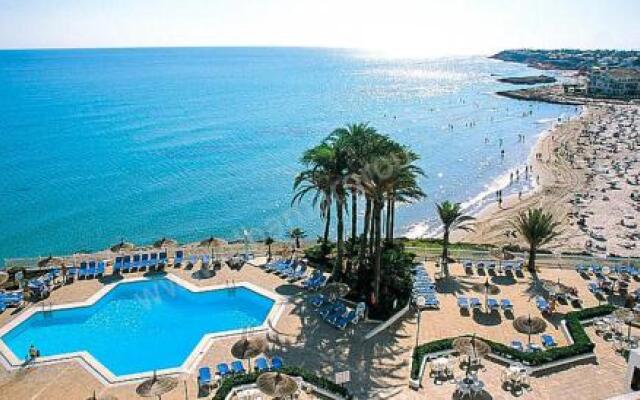 Apartment in Oasis Beach IX Albamargroup