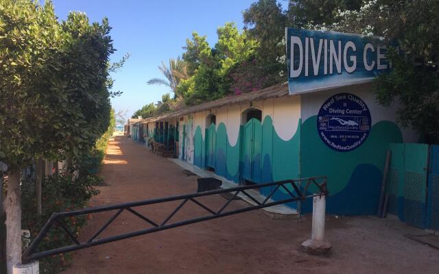 New DaVinci Beach & Diving Resort