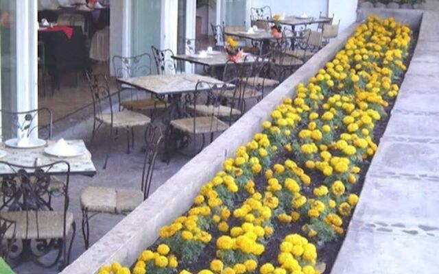 Hotel Jacarandas
