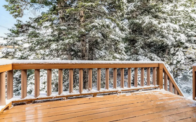 Lodge Hot Tub Dueling Basketball