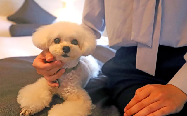 Wan's Resort Jogasaki Coast