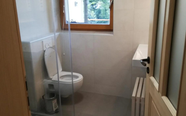 Siesta apartment Bled