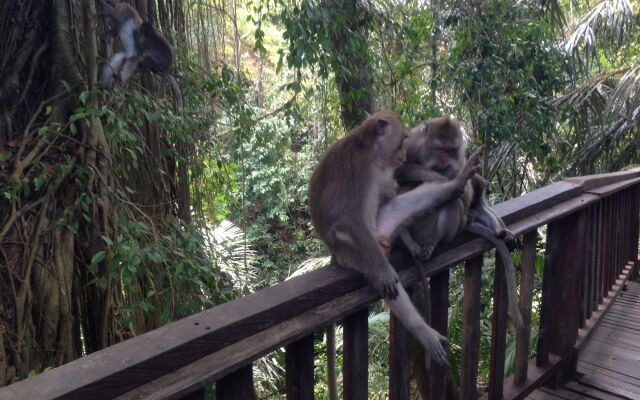 Mano House Ubud