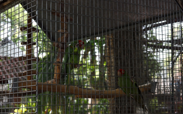 Mía Mía Bungalows & Chalets By Zoviq