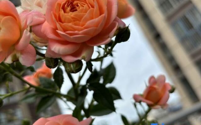 Xana Lite Hotelle (Zizhong Shanghehui)