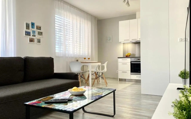 House of Beer - Stein