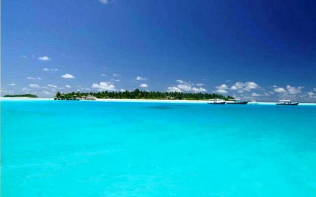 Coral Heaven Maldives