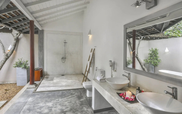 The Frangipani Tree By Edwards Collection