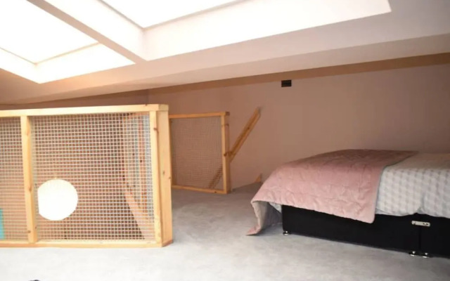 1 Bedroom Urban Retreat in Camberwell