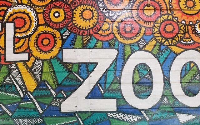 El Zoo Hostel & Pool