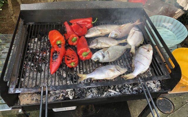 Beautiful Villa in Zadar, Pool, Garden Near Beach