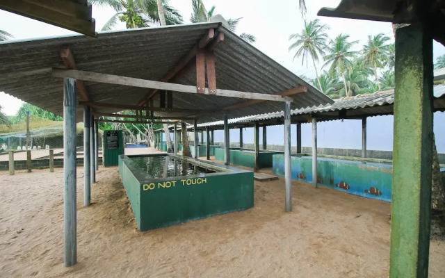 OYO 397 Sea Beach Inn