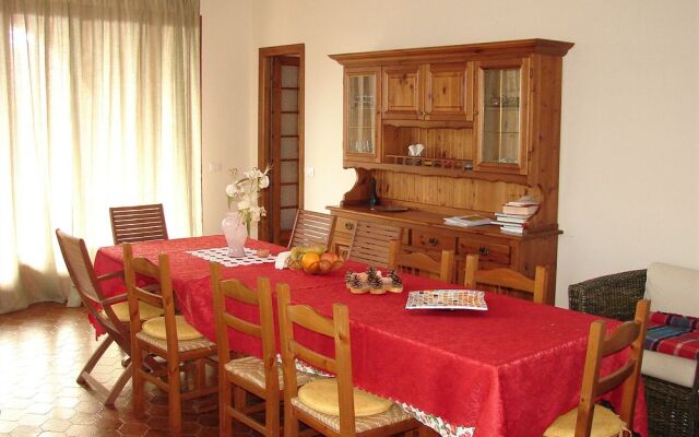 L'Albero del Cioccolato