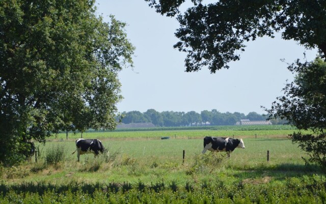 Beautiful Farmhouse in Baarschot near Forest