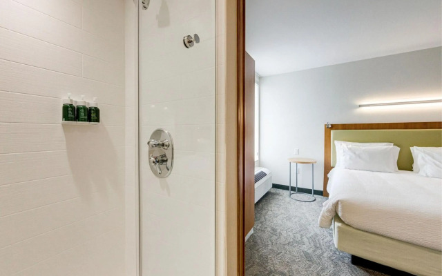 SpringHill Suites Houston The Woodlands
