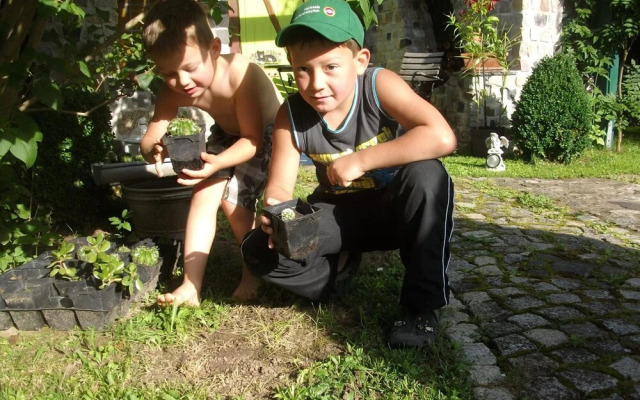 Landferienhaus Pension Erika